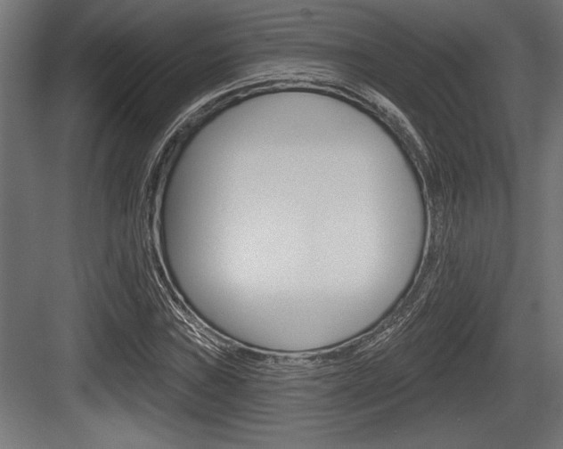 X0000083611019200702120718