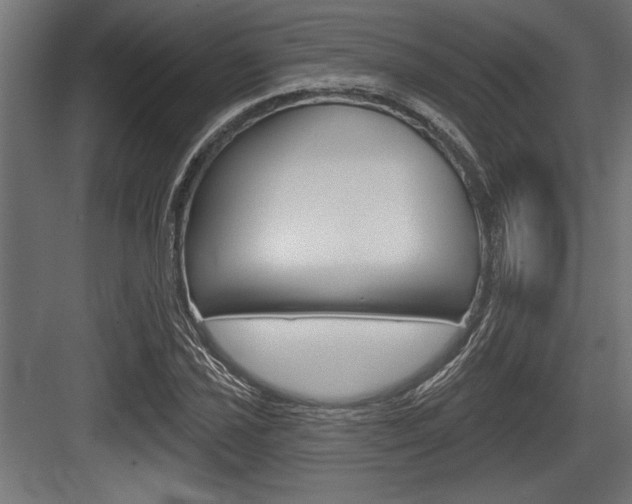 X0000083611021200702120718