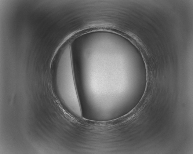X0000083611022200702120718