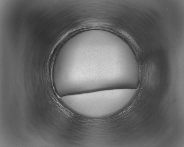X0000083611023200702120718