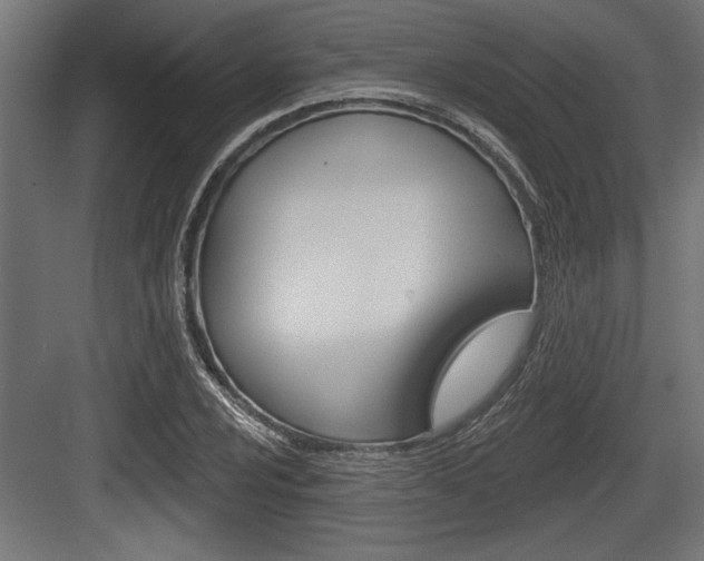X0000083611024200702120718