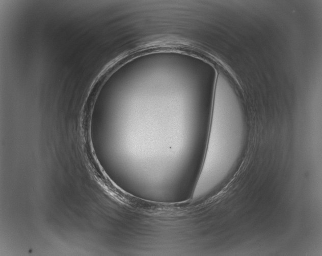 X0000083611026200702120718