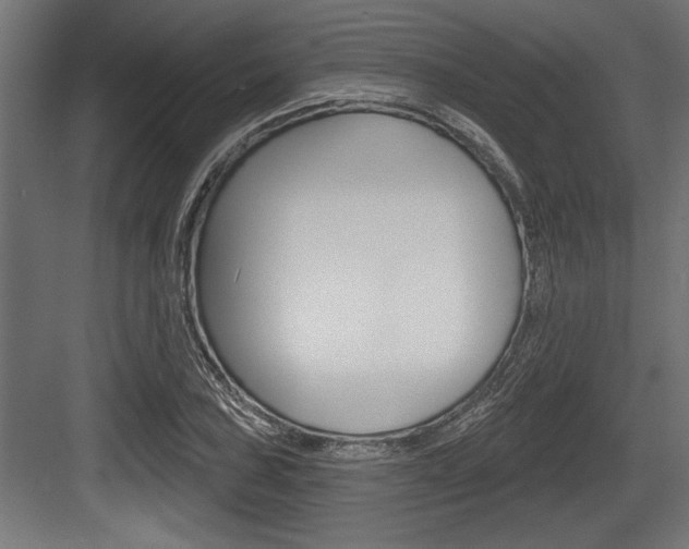 X0000083611027200702120718