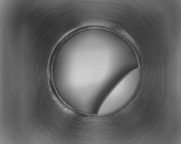 X0000083611028200702120718