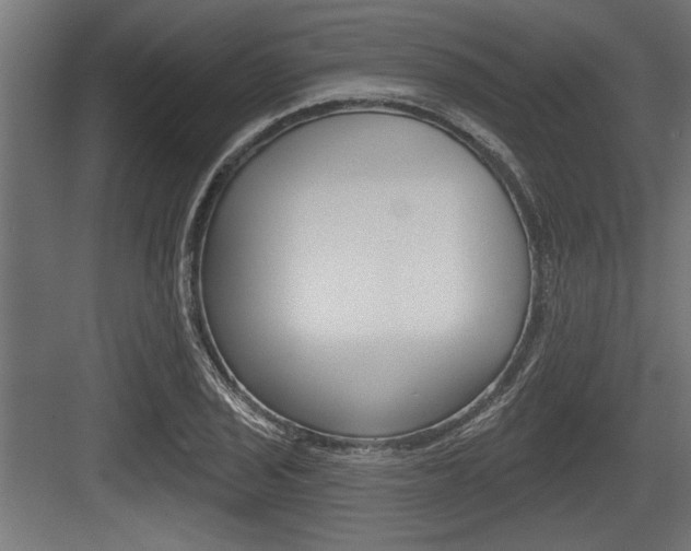 X0000083611029200702120718
