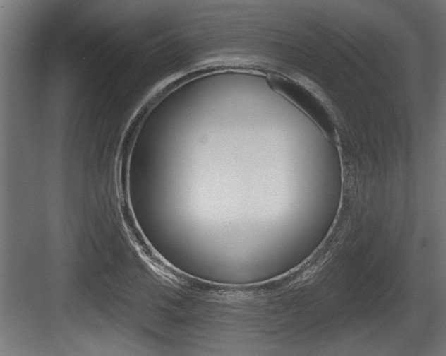 X0000083611030200702120718