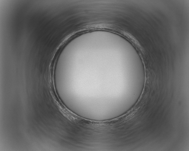 X0000083611031200702120718