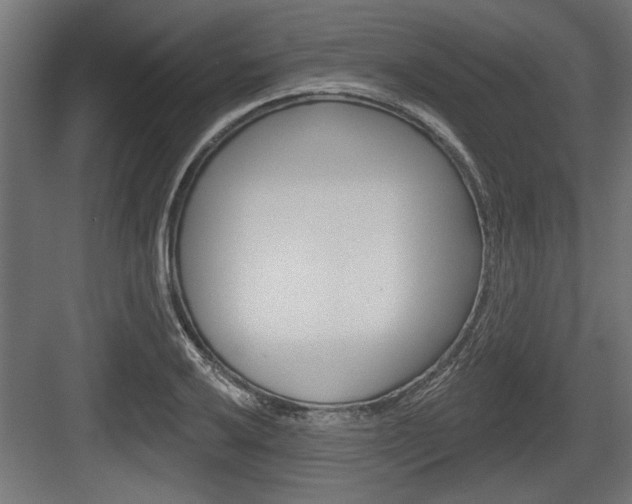 X0000083611032200702120718
