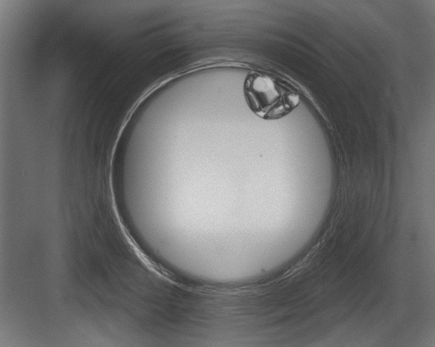 X0000083611034200702120718