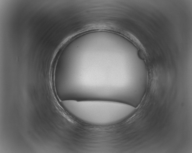 X0000083611035200702120718