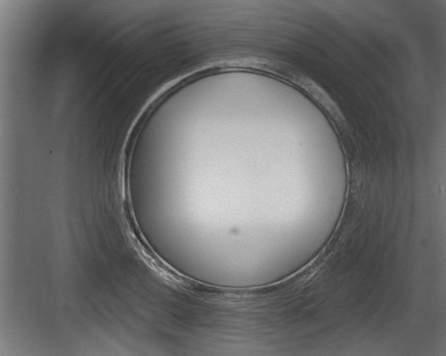 X0000083611036200702120718