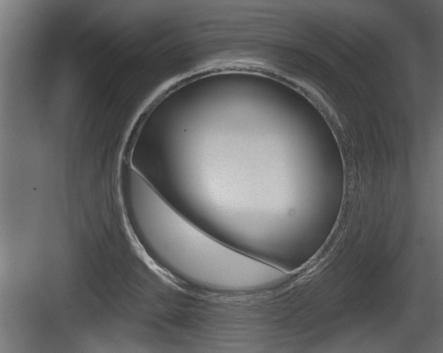 X0000083611038200702120718