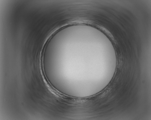 X0000083611039200702120718