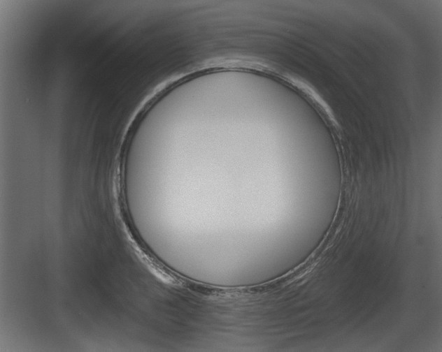 X0000083611040200702120718