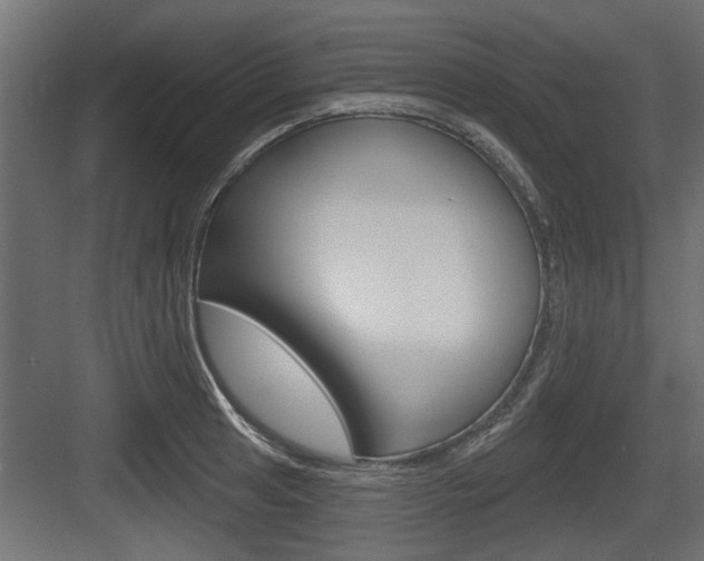 X0000083611041200702120718