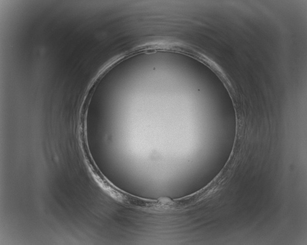 X0000083611042200702120718