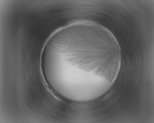X0000083611043200702120718