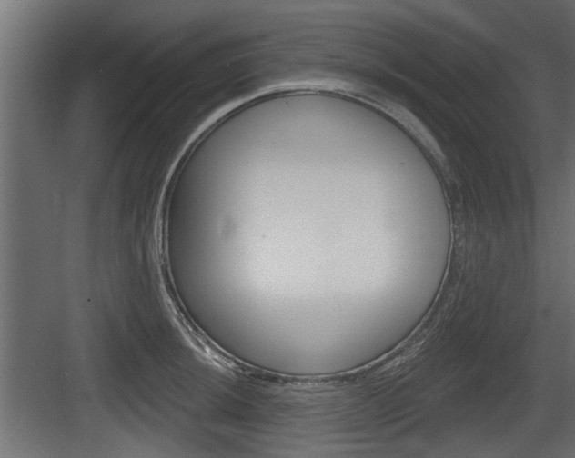 X0000083611044200702120718