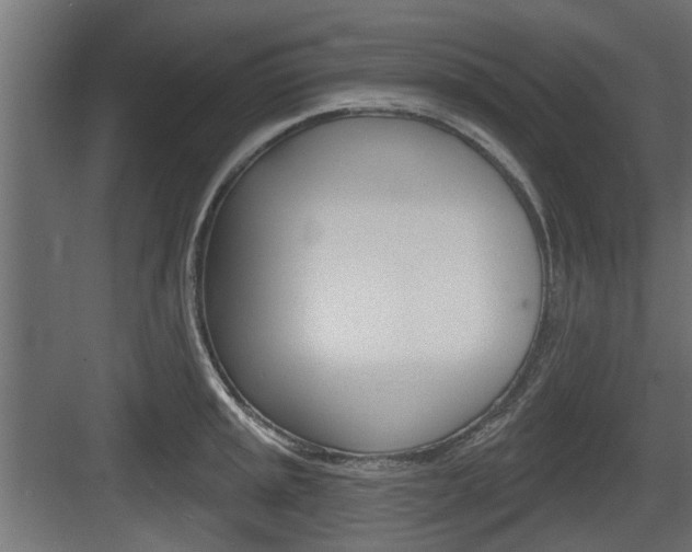 X0000083611045200702120718