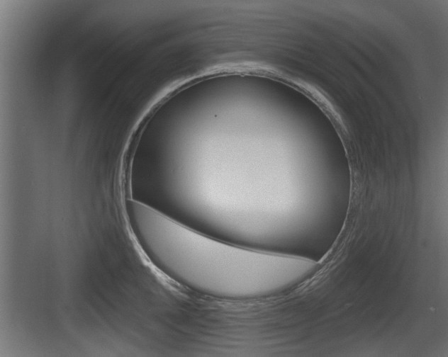 X0000083611046200702120718