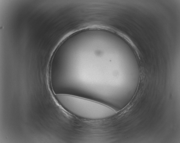 X0000083611048200702120718