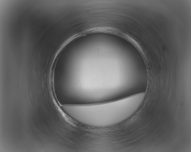 X0000083611050200702120718