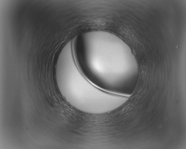 X0000083611057200702120718