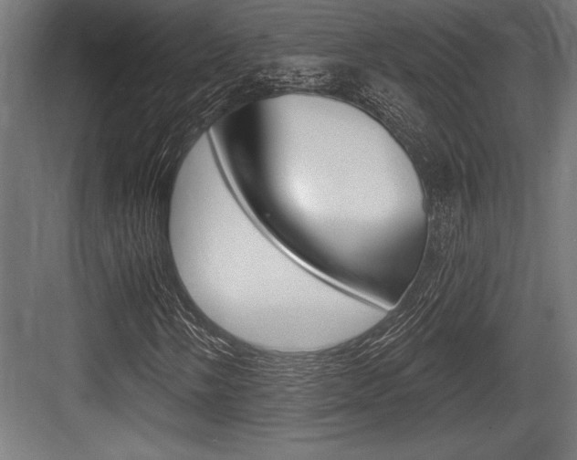 X0000083611058200702120718