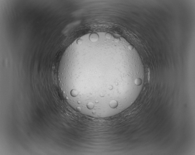 X0000083611059200702120718