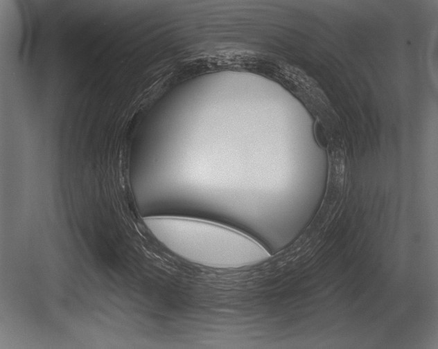 X0000083611060200702120718