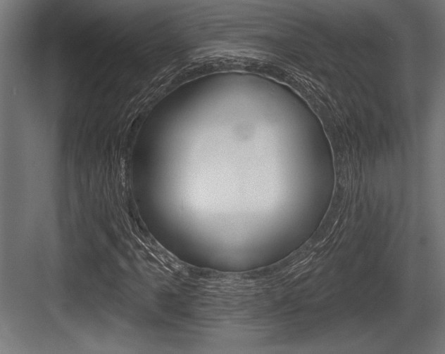 X0000083611061200702120718