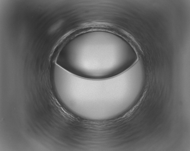 X0000083611066200702120718