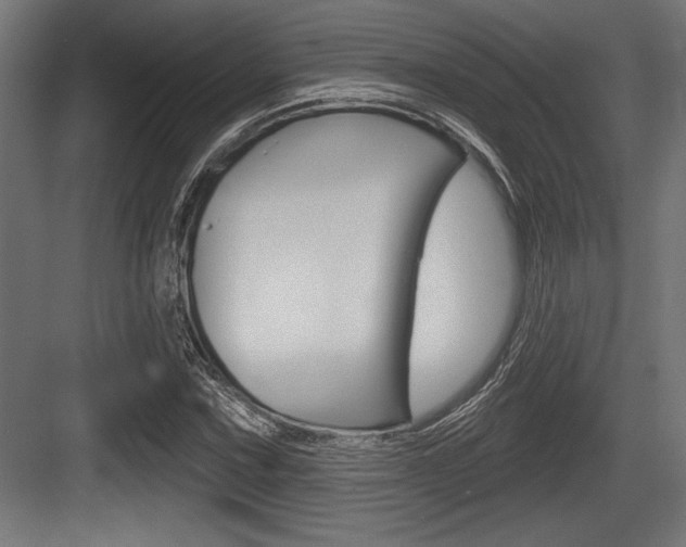 X0000083611067200702120718
