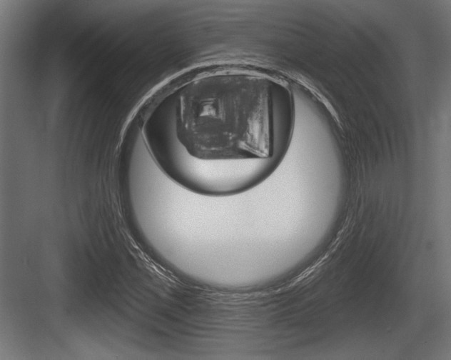X0000083611069200702120718