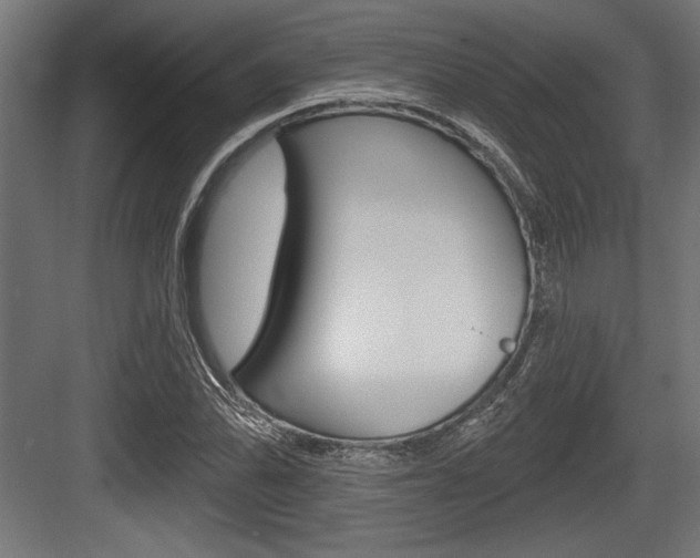 X0000083611070200702120718