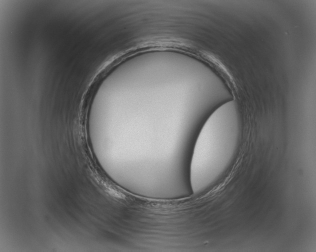 X0000083611071200702120718