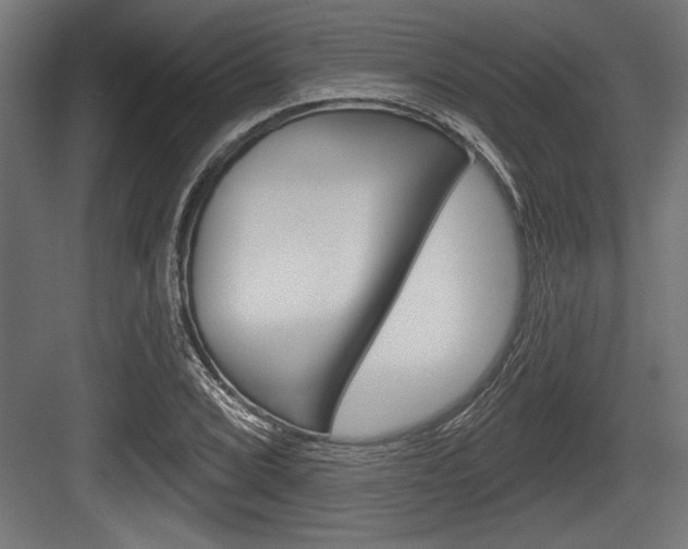 X0000083611072200702120718