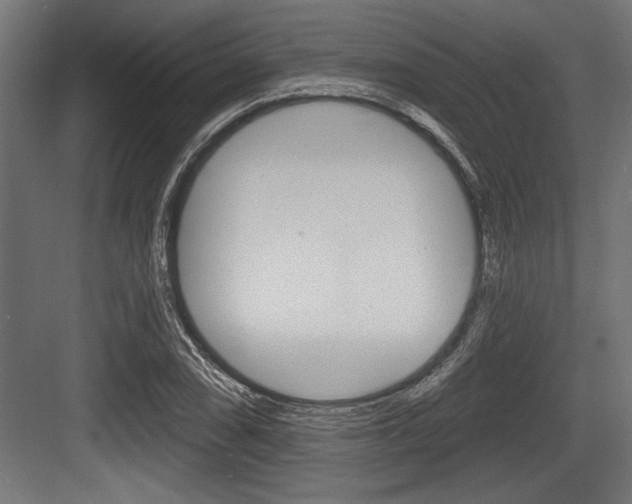 X0000083611074200702120717