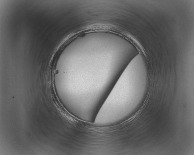 X0000083611075200702120717