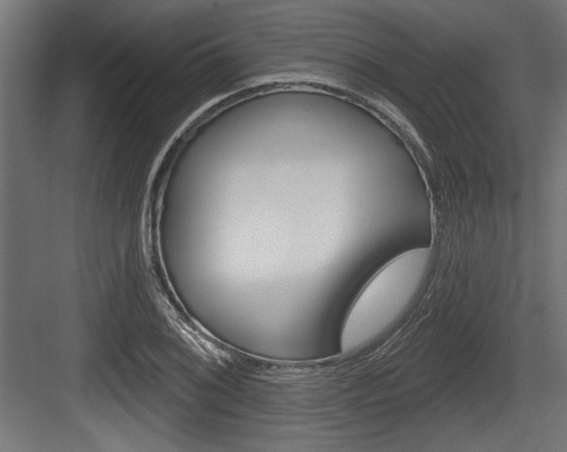 X0000083611076200702120717