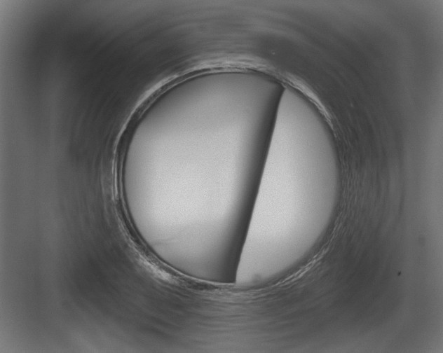 X0000083611079200702120717