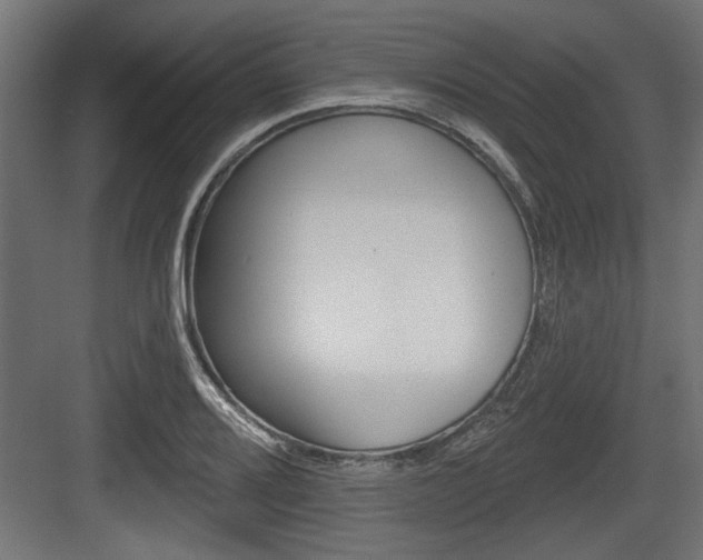 X0000083611080200702120717