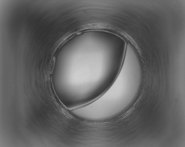 X0000083611081200702120717