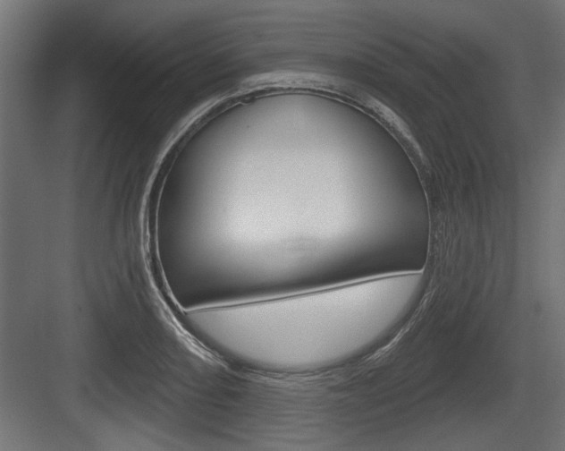 X0000083611082200702120717