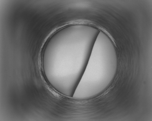 X0000083611083200702120717