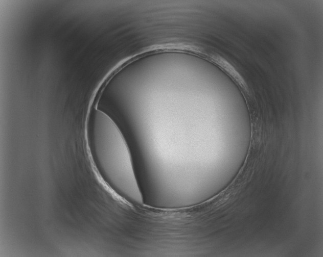 X0000083611084200702120717