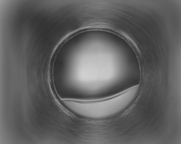X0000083611085200702120717