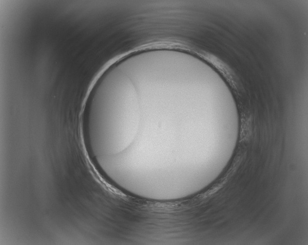 X0000083611086200702120717
