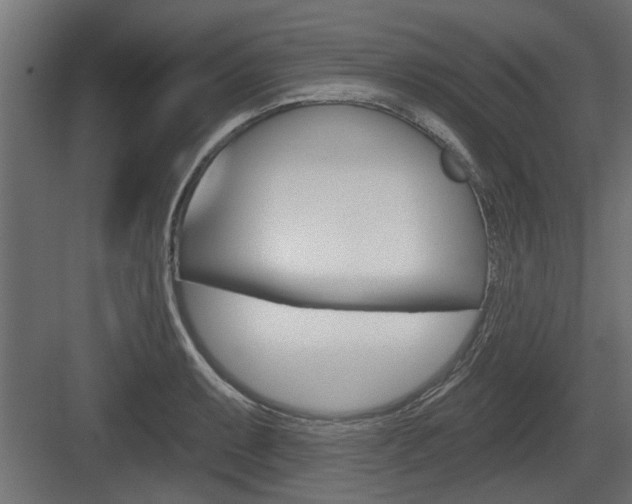 X0000083611087200702120717