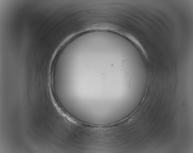 X0000083611088200702120717